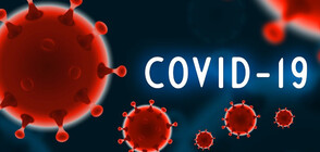 САЩ изпревариха Италия и Китай по брой заразени с коронавирус