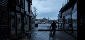 Нашествие от котки по празните улици на Истанбул (ВИДЕО+СНИМКИ)