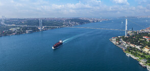 Украински кораб под карантина в пристанище в Истанбул
