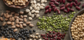 Диетолози назоваха полезните заместители на месото