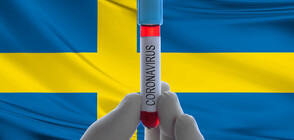 Швеция очаква бум на заразата с коронавируса през април