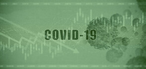 Любител изготвя математически модели за развитието на COVID-19 (ВИДЕО)
