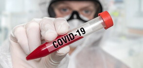 Има случай на заразен с коронавирус в Софийския районен съд