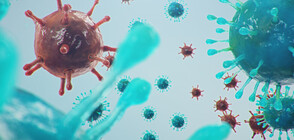 Още един починал с коронавирус у нас, 648 са потвърдените случаи