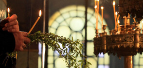 Празнуваме Цветница!