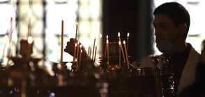 Цветница в столицата - под знака на извънредното положение