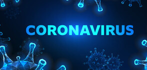 Директор на старчески дом в Сърбия задържан заради заразяване на 139 души с коронавирус