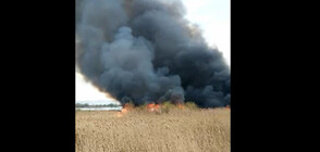 Пожар горя край Негован