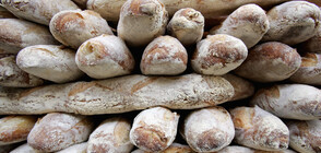 Германците не се отказват от багетите си, дори в условия на криза (ВИДЕО+СНИМКИ)