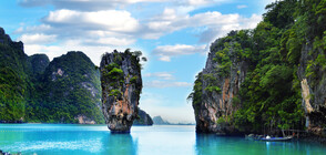 СЛЕД 20 ГОДИНИ: Рядък вид костенурки се завърнаха по бреговете на Тайланд (СНИМКИ)