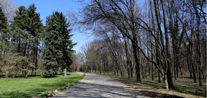 Чобанов: Общинският щаб обсъжда да позволи разходките в парковете в София