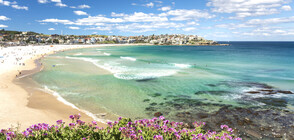 Властите в Сидни отново затвориха плажовете (ВИДЕО)