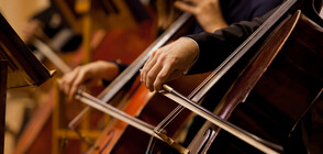 Музиканти свирят за лекари и пациенти в изолация (ВИДЕО)
