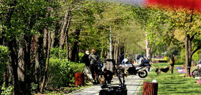 Съмнителен багаж затвори централен столичен булевард (СНИМКИ)