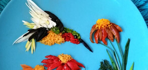 ВКУСНИ ШЕДЬОВРИ: Животни и цветя от плодове и зеленчуци (ГАЛЕРИЯ)