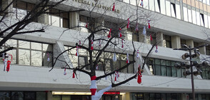 Избраха временен кмет на Благоевград