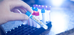 Какво е състоянието на заразените с COVID-19 във Видинско?
