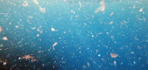 Рекордни концентрации на микропластмаси в Средиземно море