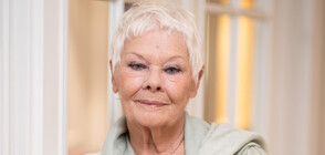 85-годишната Джуди Денч - най-старата звезда на корицата на Vogue (СНИМКИ)