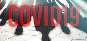 „Галъп”: Тревожността в обществото от коронавируса постепенно намалява