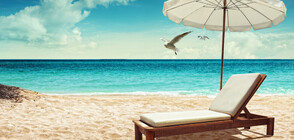 Безплатни чадъри и шезлонги на плажа, по-малка дистанция между масите в заведенията (ОБЗОР)
