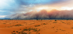 ЗРЕЛИЩНА БУРЯ: Пясъчна стена, висока стотици метри, обгради столицата на Нигер (ВИДЕО)