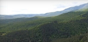 Гората на Црънча остава на селото, Пеевски дари 700 хил. лв.