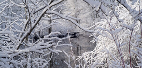 ЗИМА ПРЕЗ МАЙ: Сняг и минусови температури в САЩ и Канада (ВИДЕО+СНИМКИ)