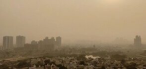 Вредните емисии в Индия намаляват за първи път от 40 години насам