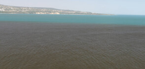 ОТ "МОЯТА НОВИНА": Водата във Варненския залив е силно замърсена (ВИДЕО)