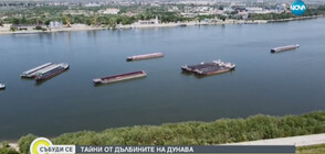 Десетки потънали кораби и неразгадани тайни на дъното на Дунав