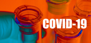 37 new cases of COVID-19