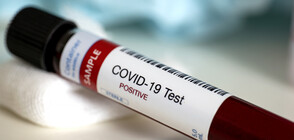 COVID-19 in Bulgaria: 25 new cases, 116 more patients recovered