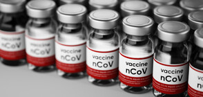 Ваксина срещу коронавирус - най-рано догодина