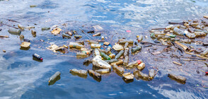 Тонове пластмаса и умряла риба в района на река Места