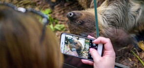 Очарователните обитатели на зоопарк в Полша (ГАЛЕРИЯ)