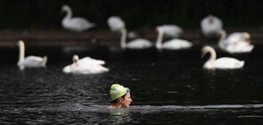 Лондончани се радват на глътка свобода след разхлабването на мерките (ГАЛЕРИЯ)