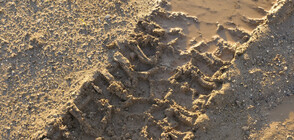 Багер унищожи дюни на плаж в Ахтопол