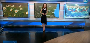 Прогноза за времето (24.05.2020 - централна)