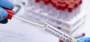 COVID-19: Only eight more coronavirus cases registered in Bulgaria