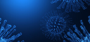 6 new cases of coronavirus in Bulgaria