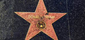 Напръскаха с черна боя звездата на Тръмп на Алеята на славата (СНИМКИ)