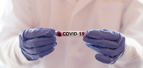 COVID-19: 83 new cases in Bulgaria