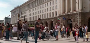 Родители на протест заради липсата на места в детските градини в София