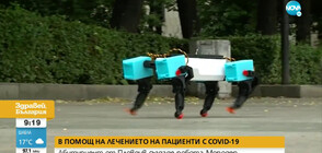 Абитуриент от Пловдив създаде робот, който ще помага на пациенти с COVID-19