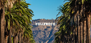 Холивуд казва „чао“ на COVID: Кината отварят от 15 юли