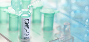 33 са новите случаи на заразени с COVID-19 у нас