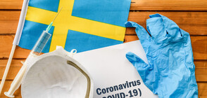 СЗО: Швеция е пример за справяне с коронавируса