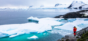 Пимпирев: Взимат се мерки срещу разпространението на COVID-19 и на Антарктида