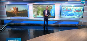 Прогноза за времето (05.07.2020 - обедна)